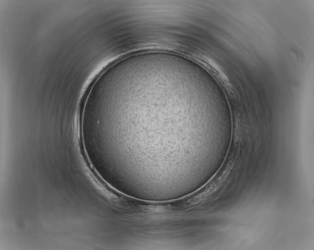 X0000111910796200908031136