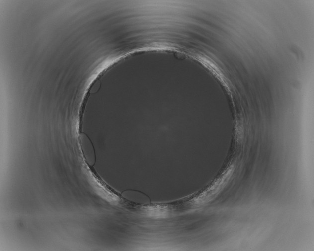 X0000111910797200908031136