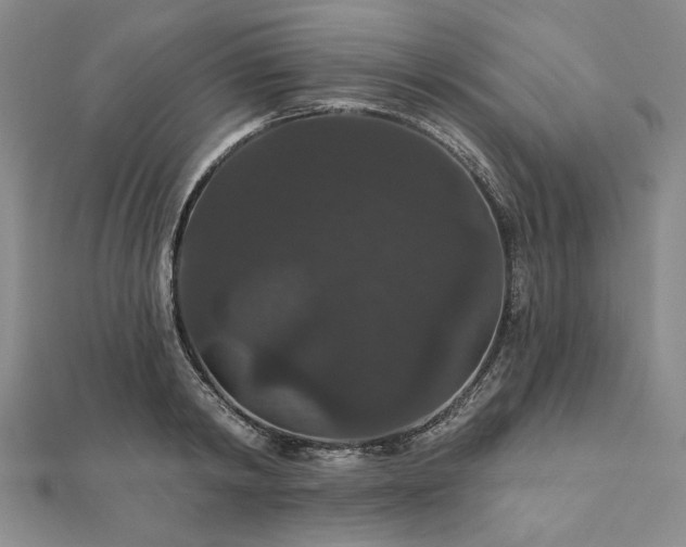 X0000111910798200908031136