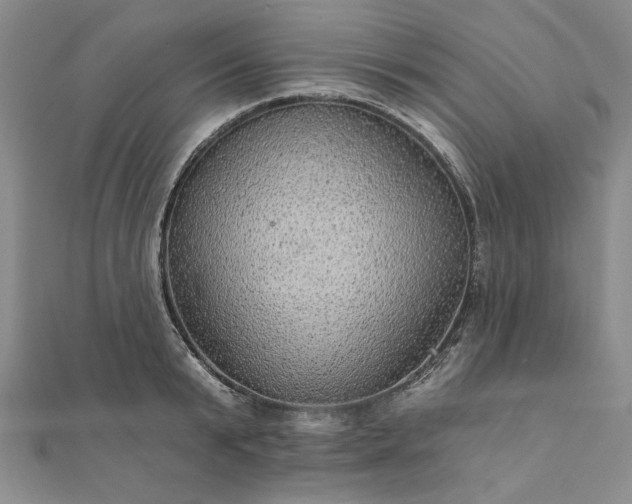 X0000111910799200908031136