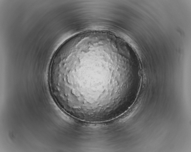 X0000111910803200908031136