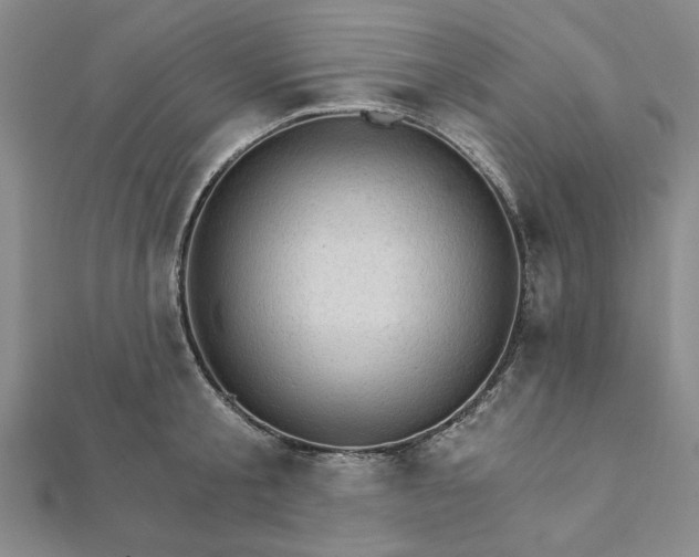 X0000111910805200908031136