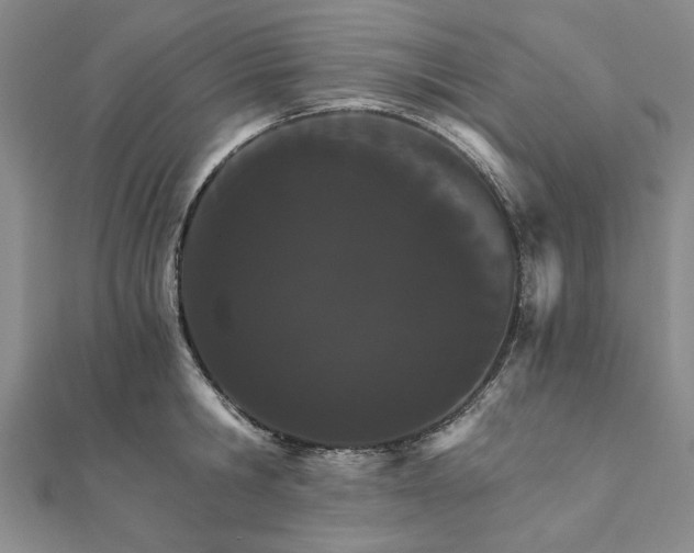 X0000111910806200908031136