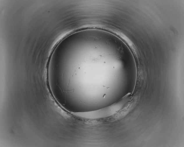 X0000111910807200908031136