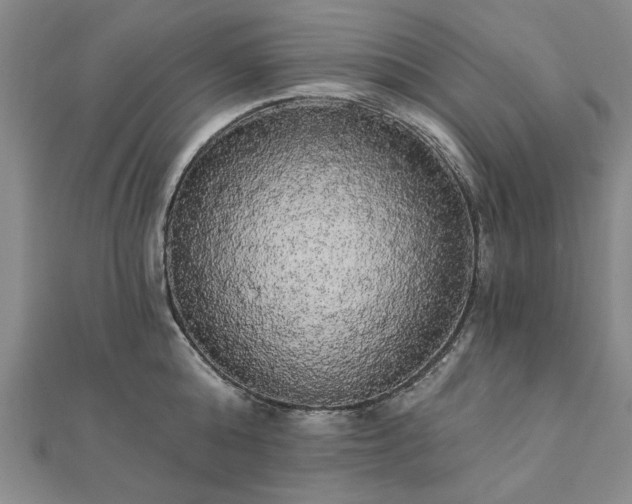 X0000111910808200908031136