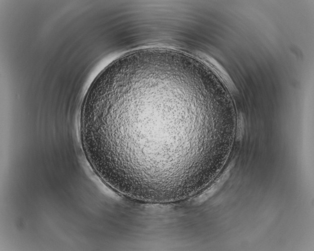 X0000111910812200908031136