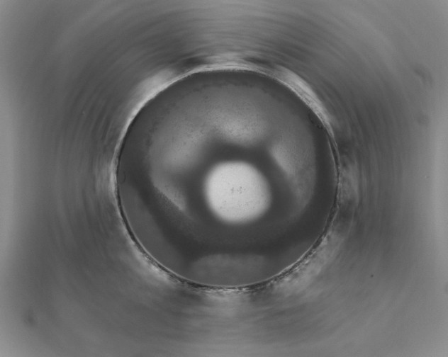 X0000111910813200908031136