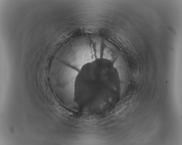 X0000111910817200908031135