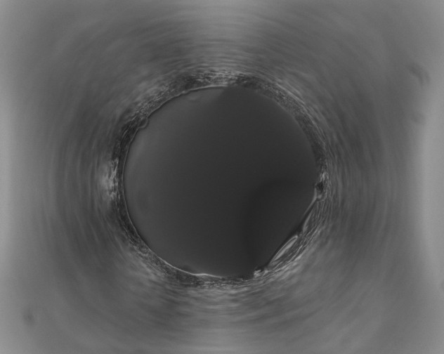 X0000111910818200908031136