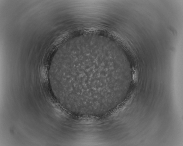 X0000111910819200908031136