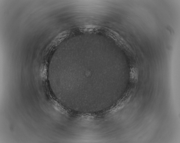 X0000111910820200908031136