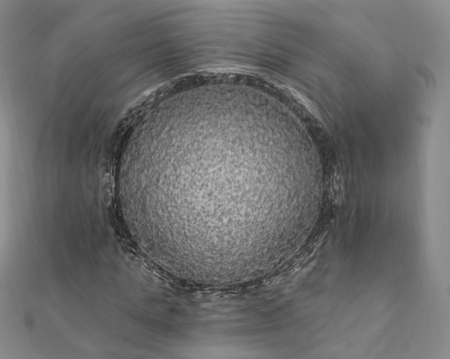 X0000111910821200908031136