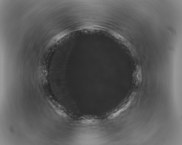 X0000111910822200908031136