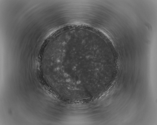 X0000111910823200908031136