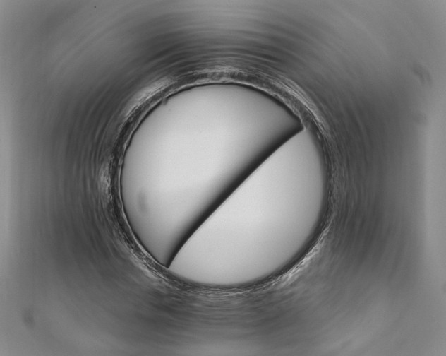 X0000111910826200908031136