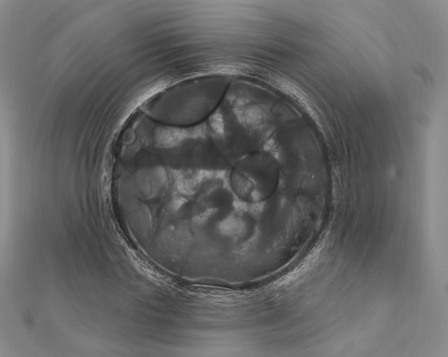 X0000111910827200908031136