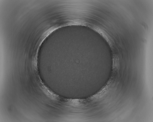 X0000111910828200908031136