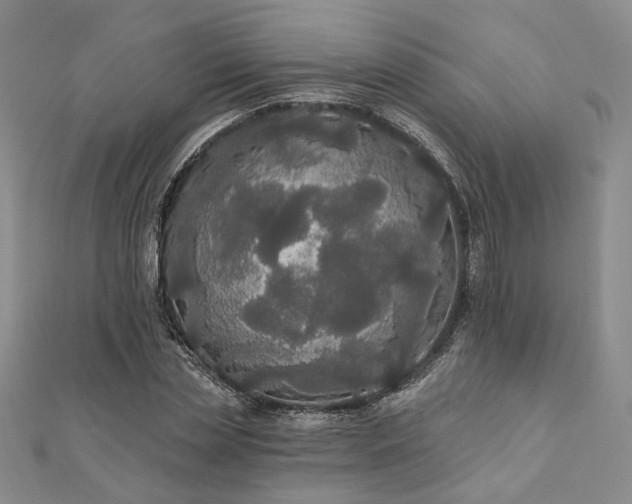 X0000111910829200908031136