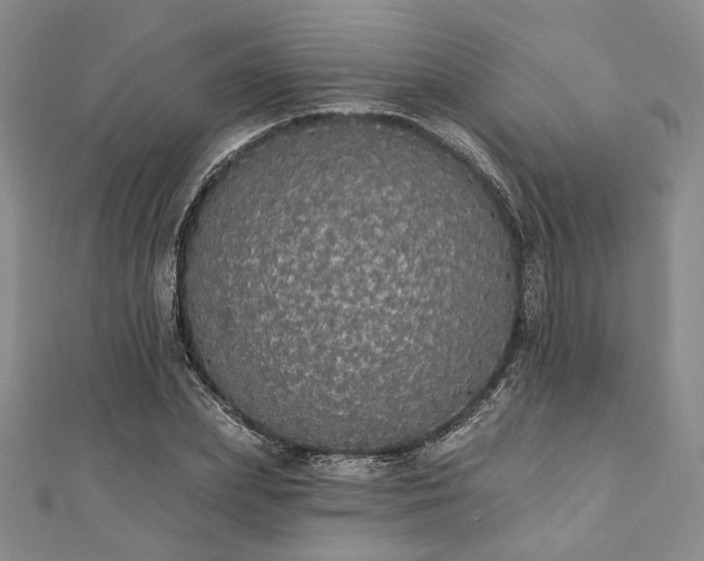 X0000111910831200908031136