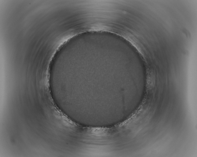 X0000111910832200908031136
