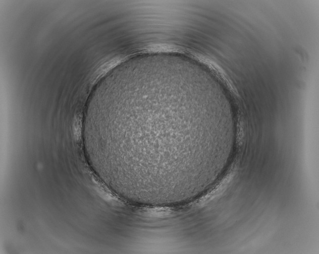 X0000111910833200908031136