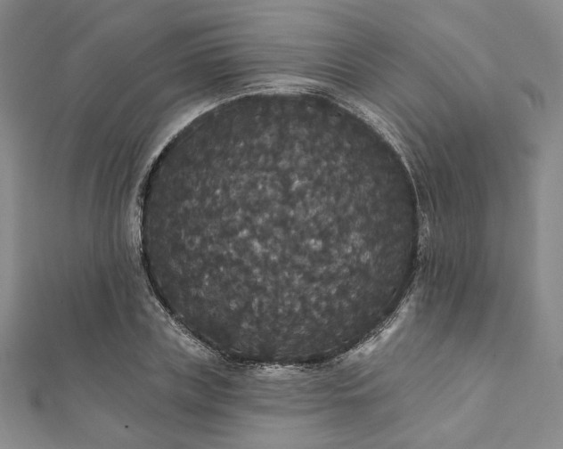 X0000111910835200908031136