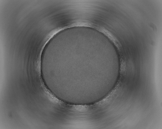 X0000111910836200908031136