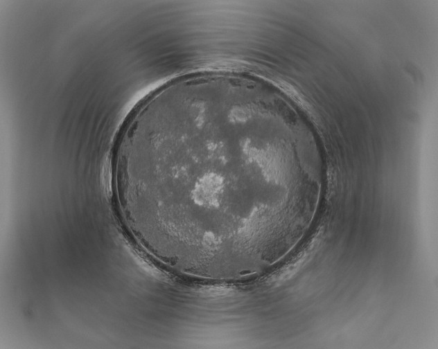 X0000111910838200908031136