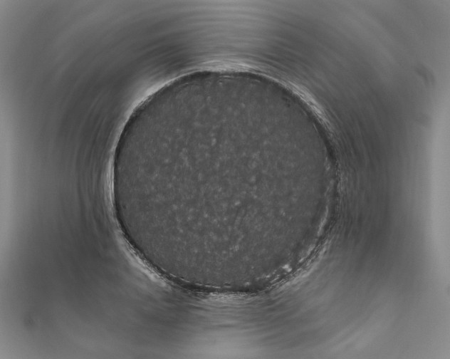 X0000111910840200908031136