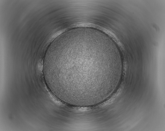 X0000111910841200908031136