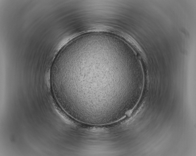 X0000111910842200908031136