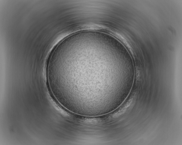 X0000111910843200908031136