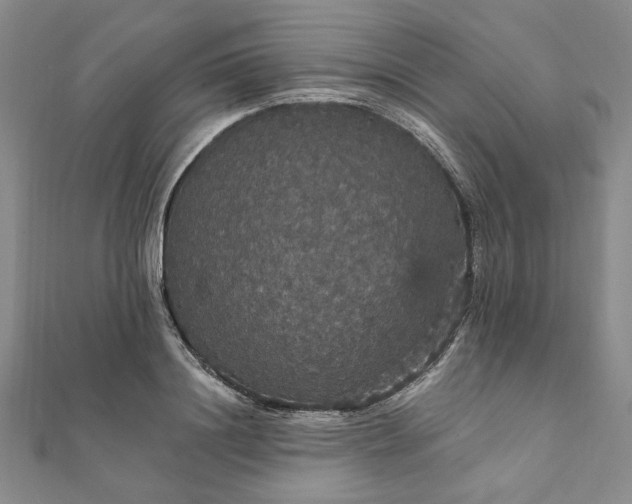 X0000111910844200908031136
