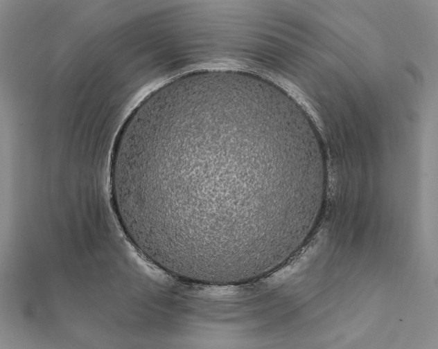X0000111910845200908031136