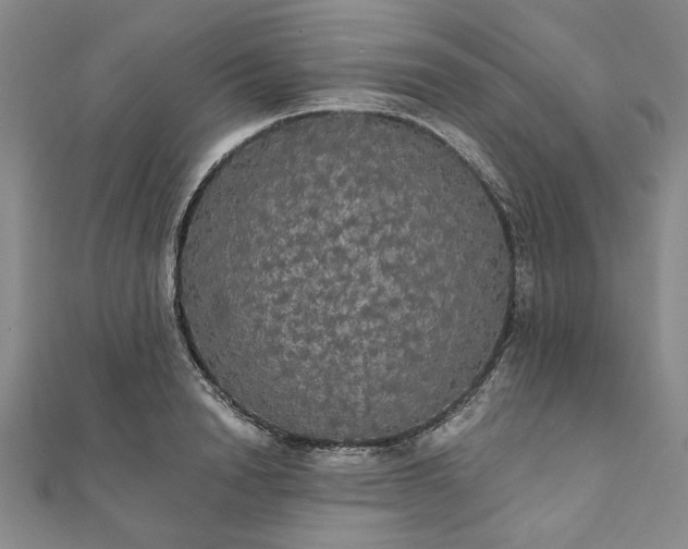 X0000111910846200908031136