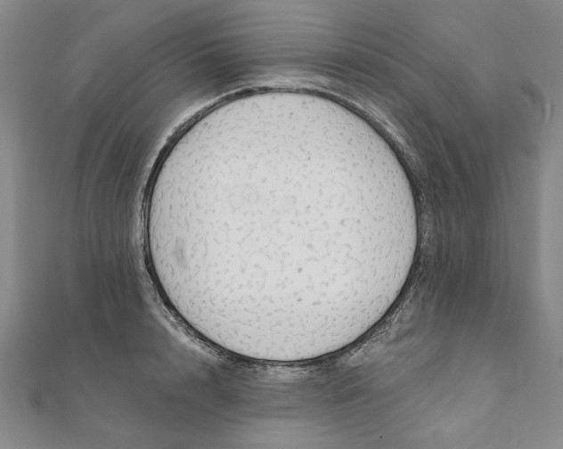 X0000111910848200908031136