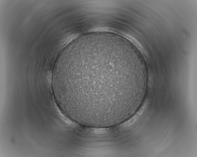 X0000111910849200908031136