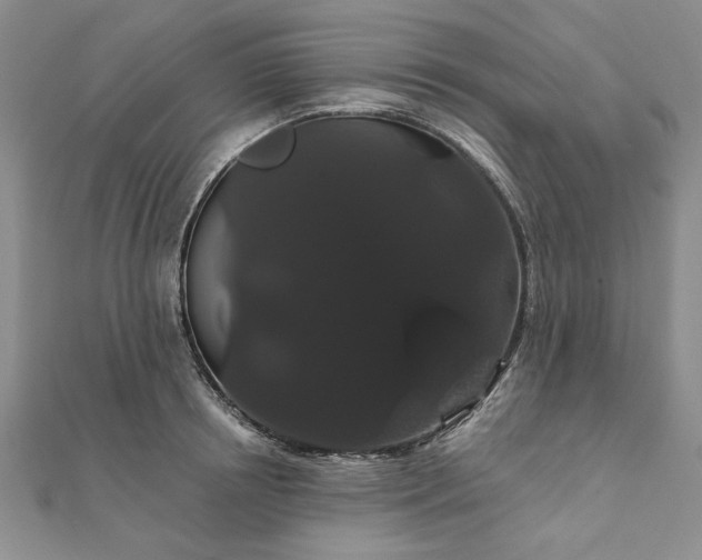 X0000111910850200908031136