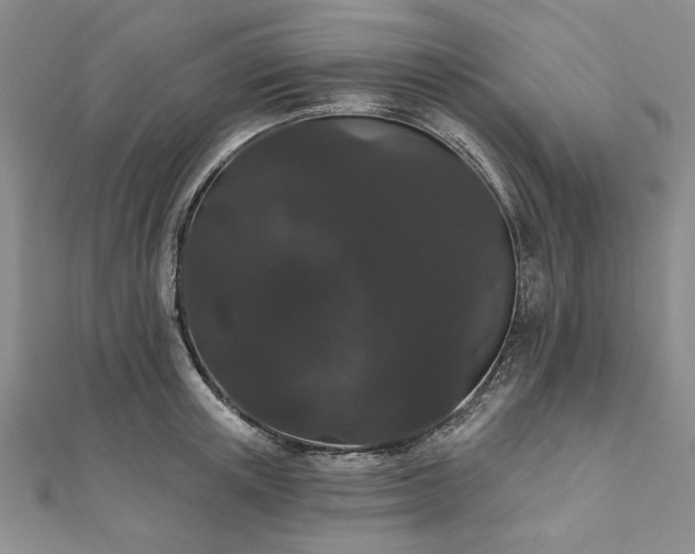 X0000111910851200908031136