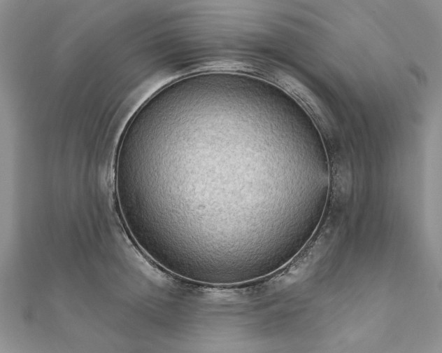 X0000111910852200908031136