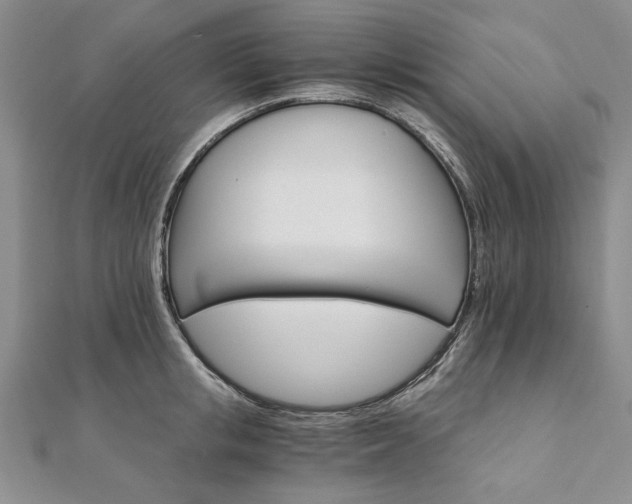 X0000111910853200908031136