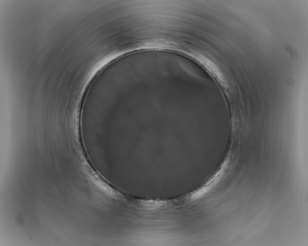 X0000111910854200908031136
