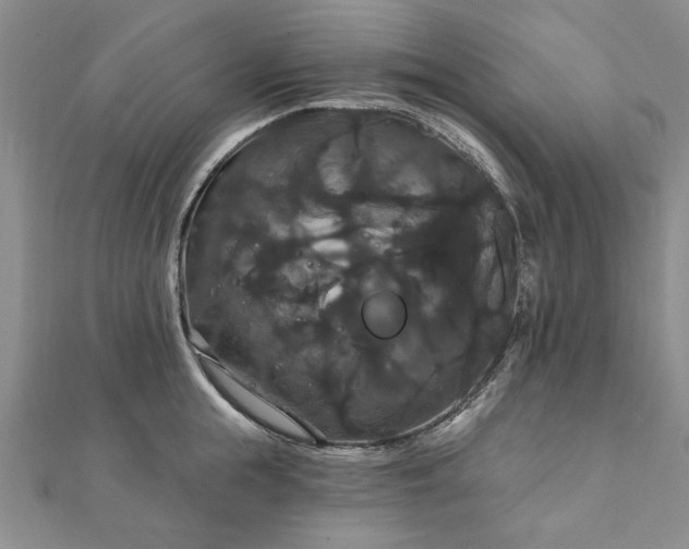 X0000111910855200908031136