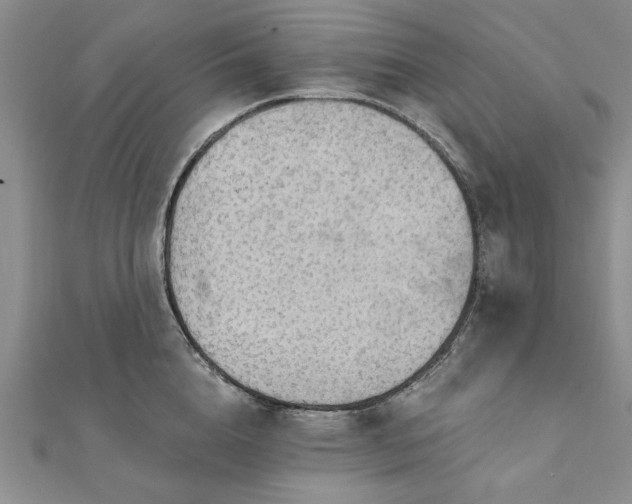 X0000111910856200908031136