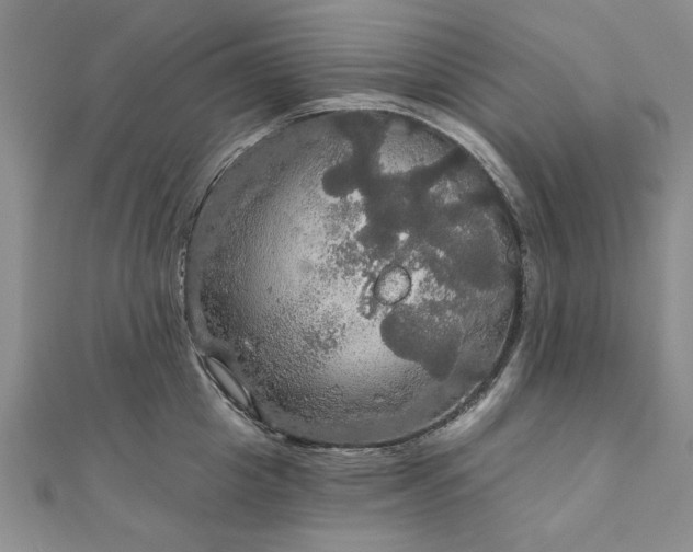 X0000111910857200908031136