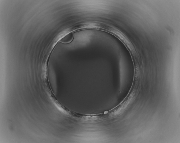 X0000111910858200908031136