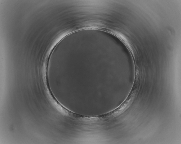 X0000111910859200908031136