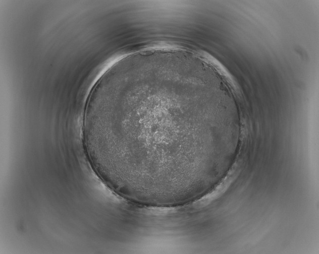 X0000111910860200908031136