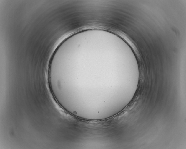 X0000111910861200908031136