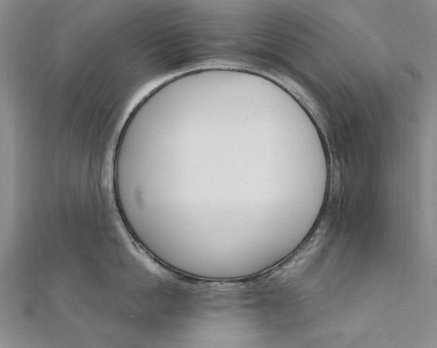 X0000111910862200908031136
